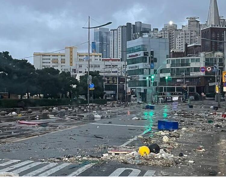 쓰레기가 가득 쌓여있는 자동차 도로