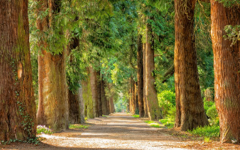 경기도 청년기본소득 2025년 신청부터 지급까지 24