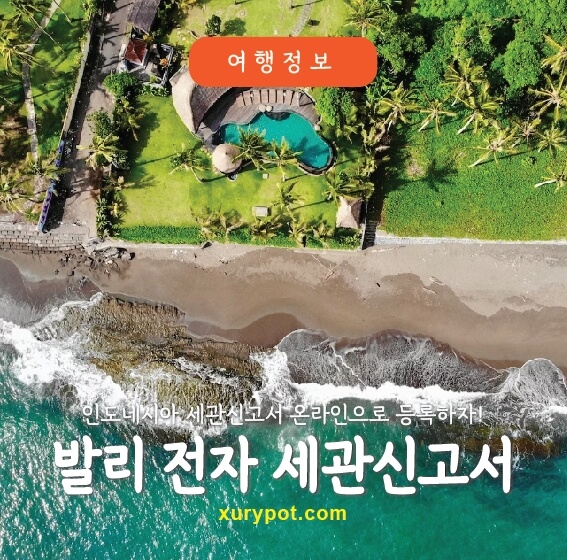 발리전자세관신고서
