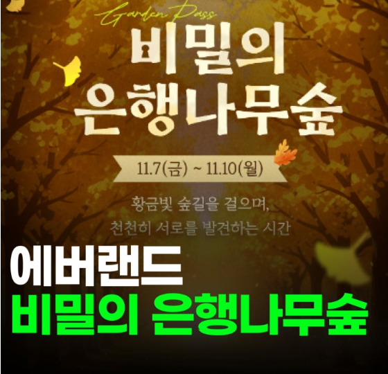 에버랜드은행나무-사진1