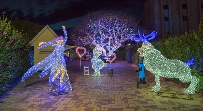 제주 허브동산에는 허브공원이 기본이지만 공원안에는 힐링하우스 펜션도 같이 운영하고 있습니다. 