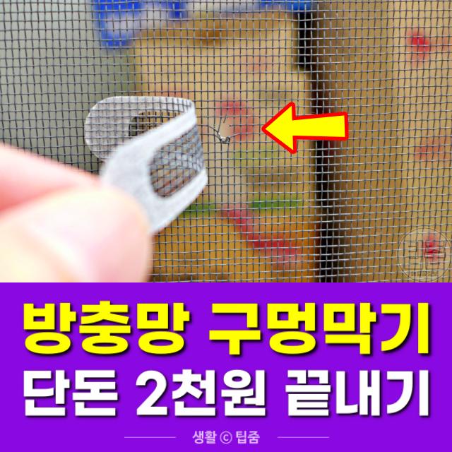 방충망 구멍막기,물구멍,팁줌