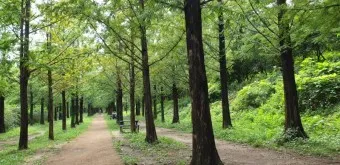 걷기좋은 숲길 50 서울 전남 경북_4