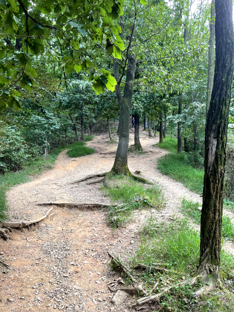 광명 구름산 가을산행 코스