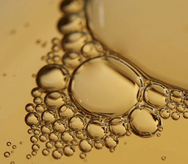 세리포리아 효능