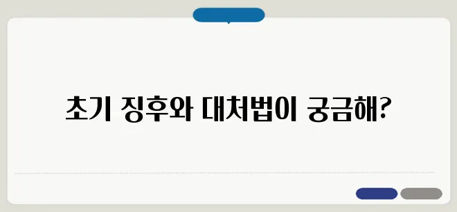 동맥경화증 초기증상과 예방법