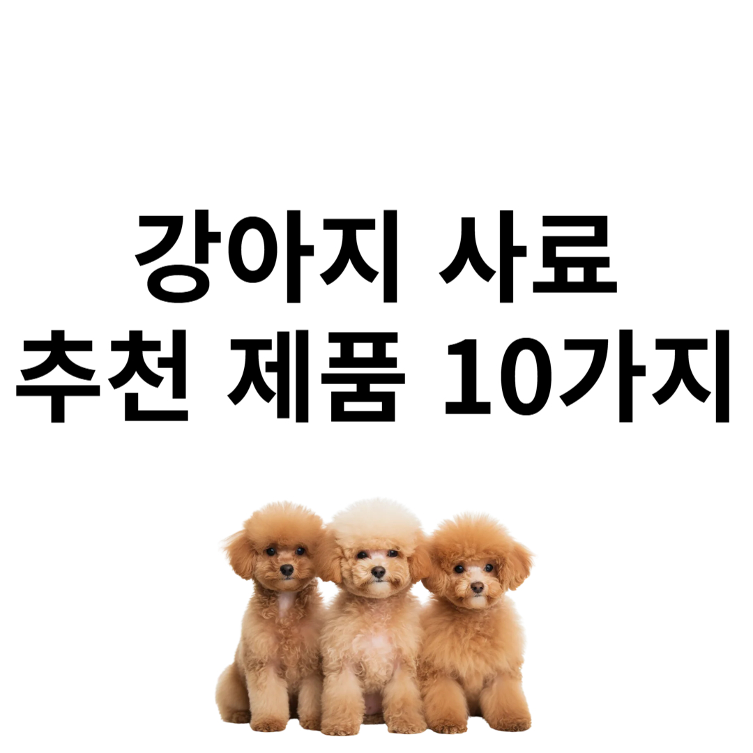 강아지 사료 추천 제품 10가지