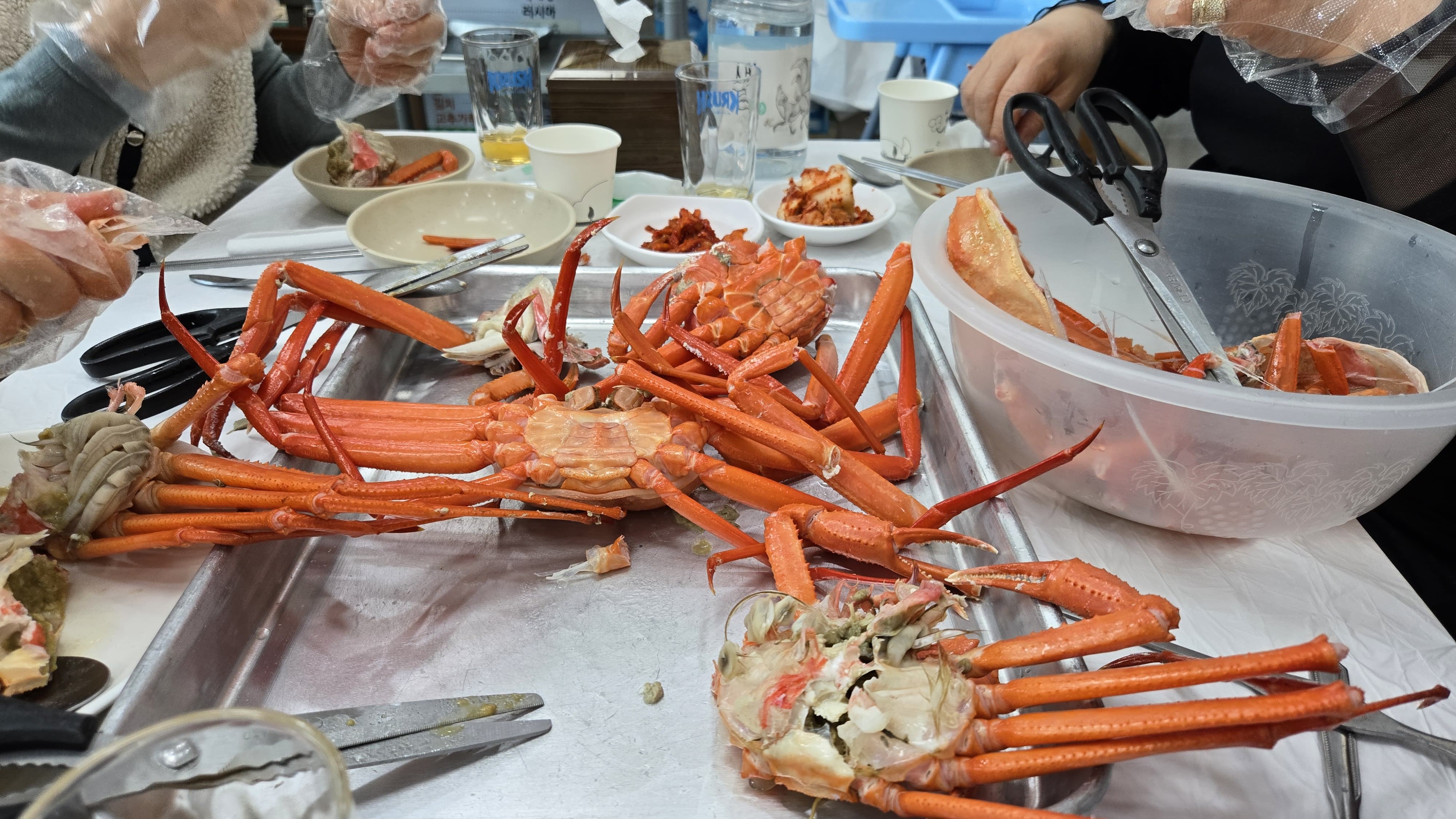 역시 주문진 대게다 모두 감탄