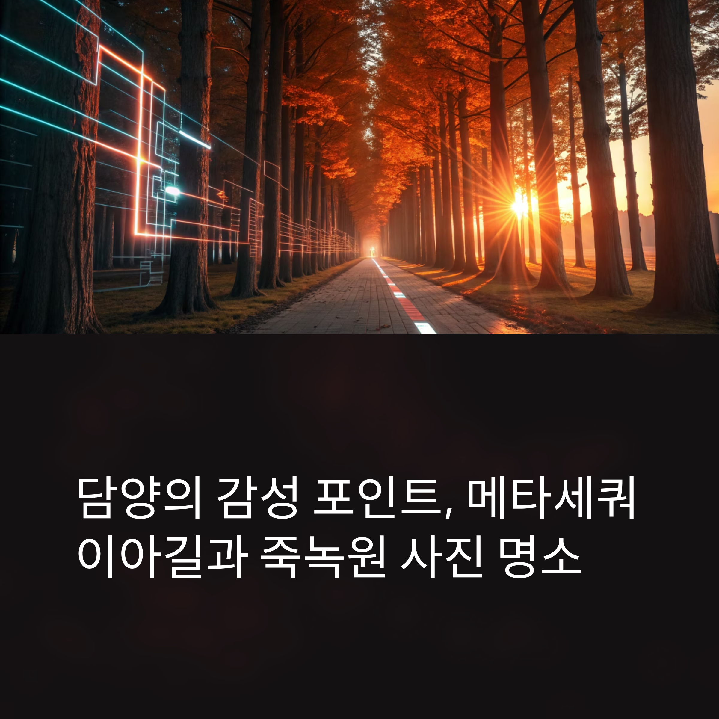 담양 메타세쿼이아길과 죽녹원, 감성 가득한 사진 명소 산책