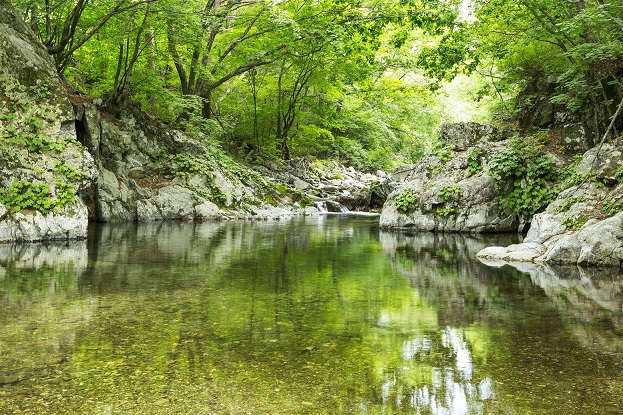강원 평창 – 흥정계곡 오토캠핑장
