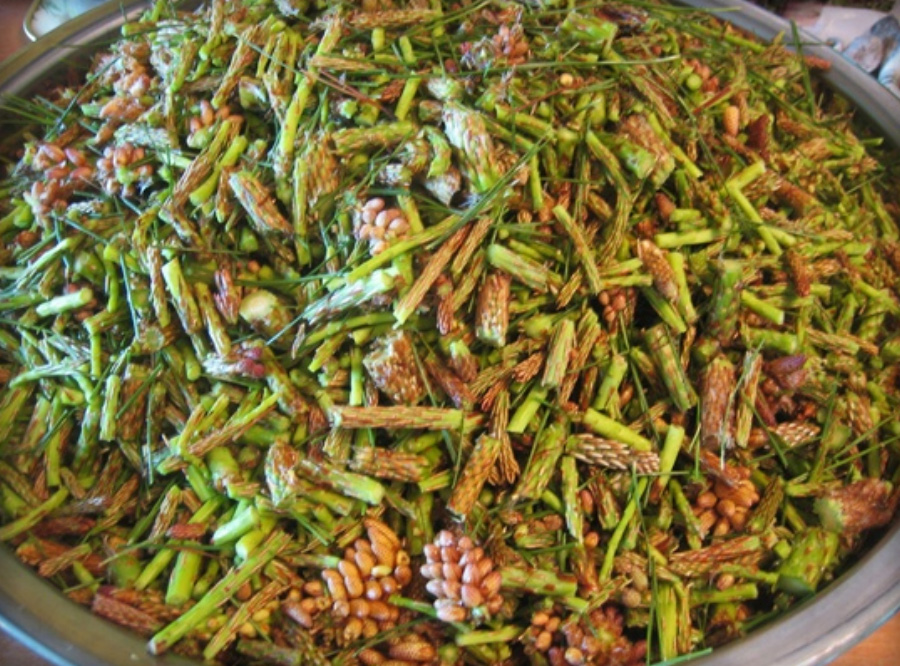 야생에서 채취를 한 소나무의 새순을 깨끗하게 세척하여 커다랗고 동그란 그릇에 가득 담아두고 찍은 사진