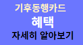 월6만5천원 무제한교통카드 기후동행카드