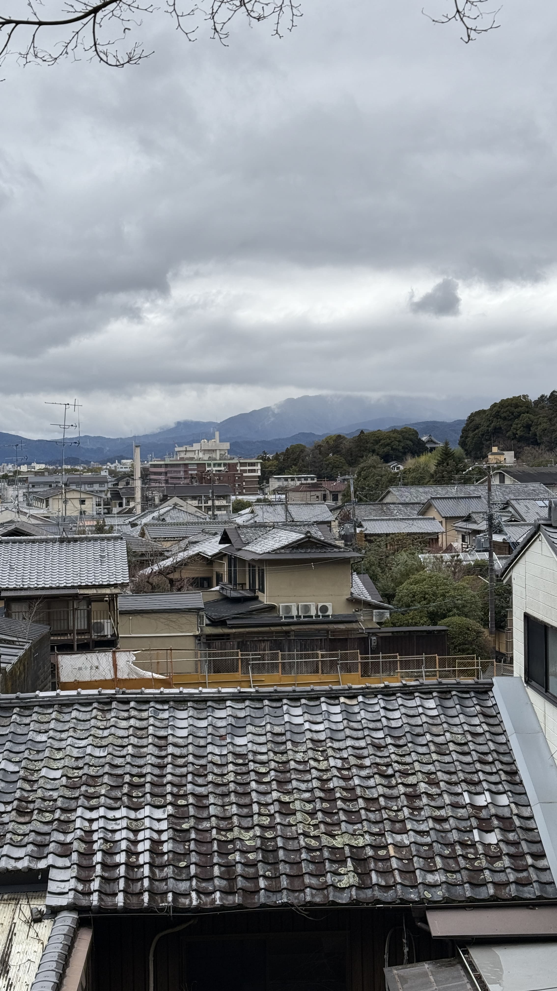 교토-꼭-가봐야-할-곳-교토-은각사-긴카쿠지- 철학의-길-조용한-산책-코스-추천