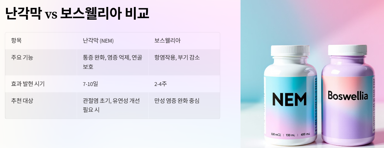 난각막 vs 보스웰리아