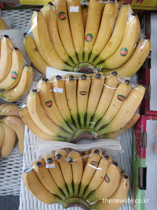Bunches of ripe bananas neatly wrapped and displayed at a traditional market – 고지혈증에 좋은 음식으로 알려진 바나나 진열 모습