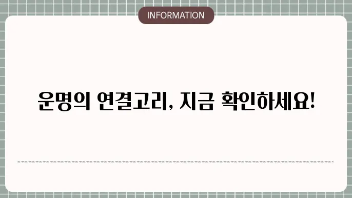 사주궁합운세 찰떡흍옶부 확인