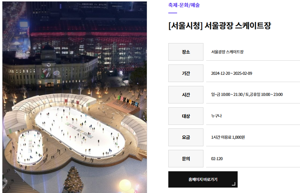 서울광장 스케이트