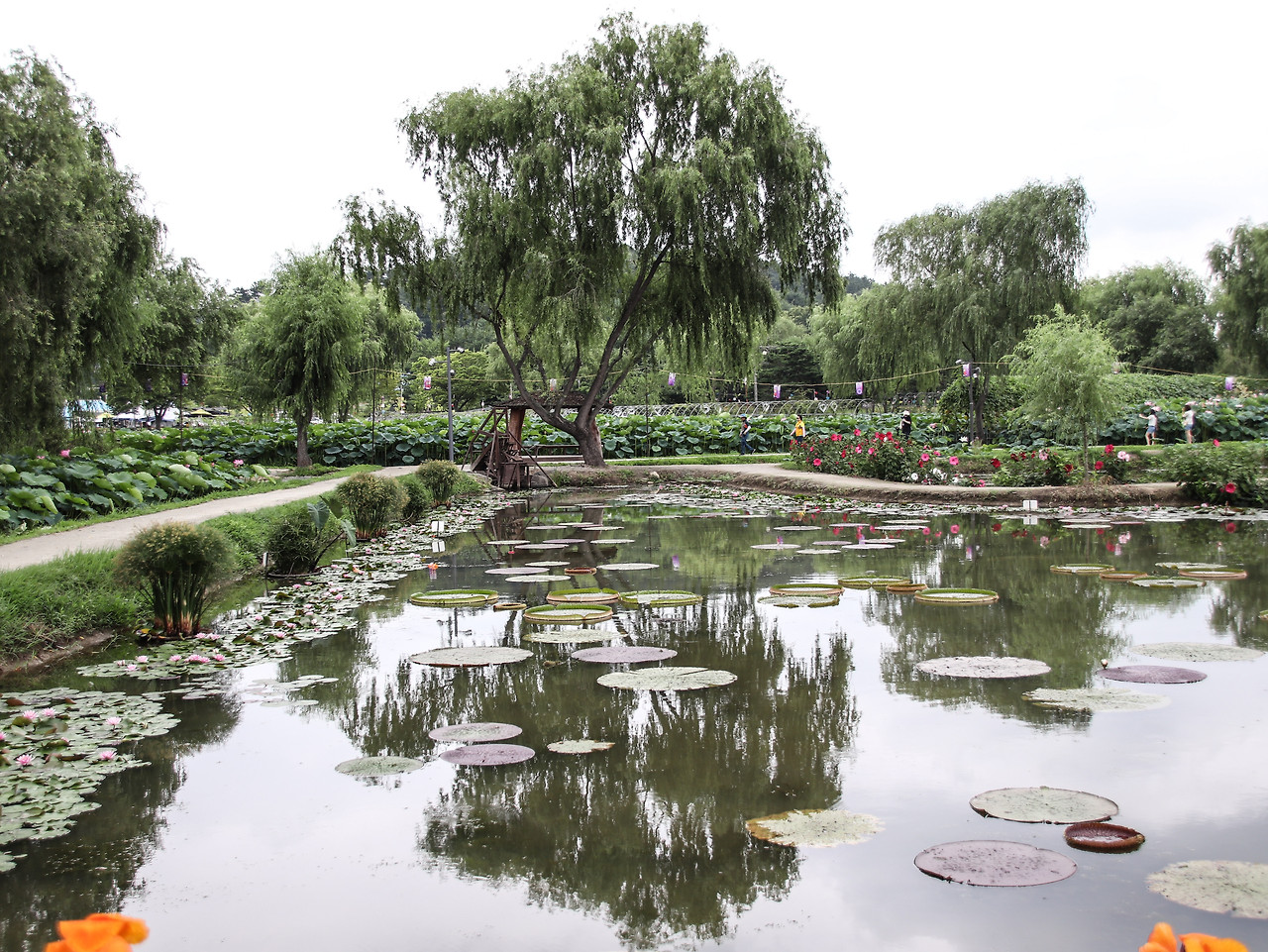 부여 살기 좋은 동네 vs 불편한 동네 &mdash; 실제 거주 기준으로 보는 지역별 생활 환경