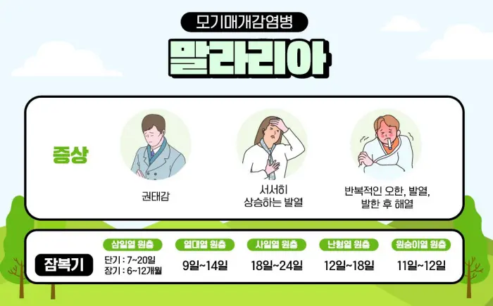 말라리아 주의! 말라리아 증상과 예방접종 정보 알아보기
