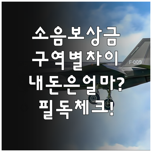 군용비행장 소음 피해 보상금 1종 2..