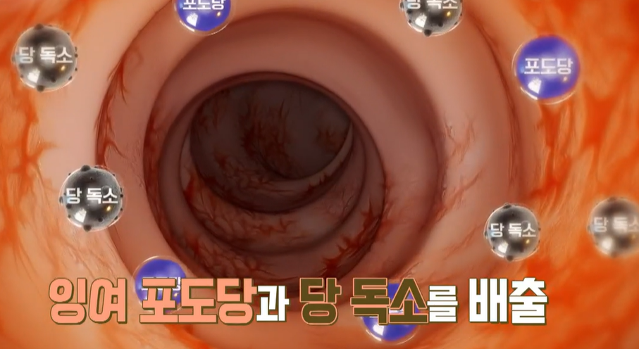 카무트 효소