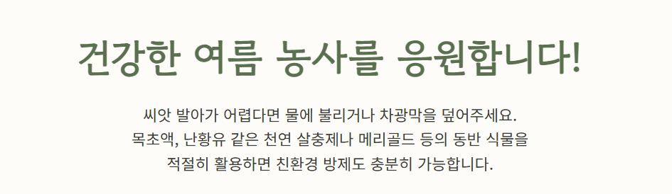 7월에 심는 밭작물