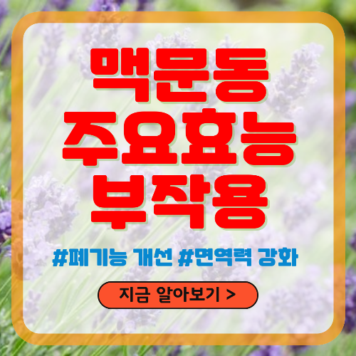 맥문동 주요 효능 및 부작용