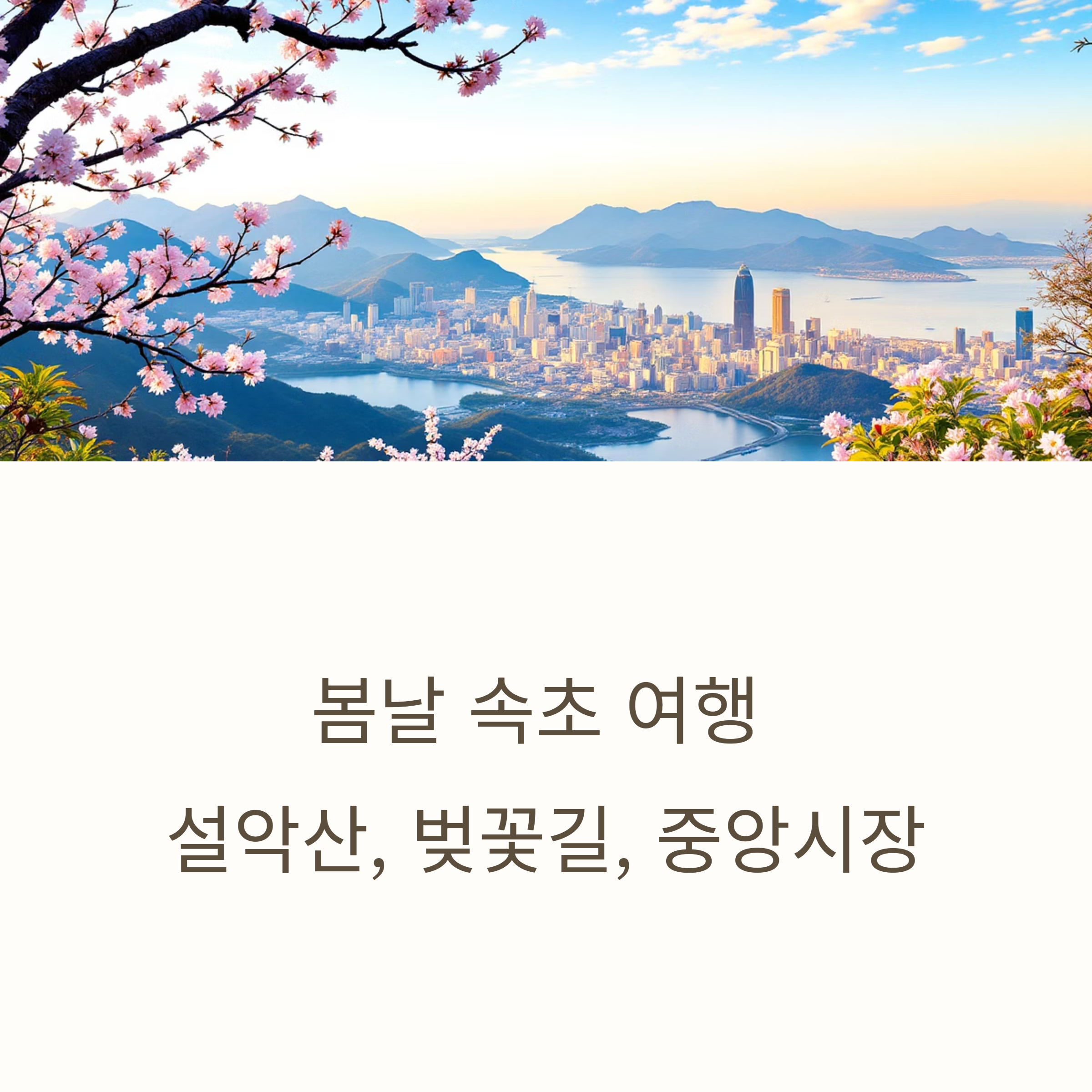 봄속초여행(설악산,벚꽃길,중앙시장) 사진