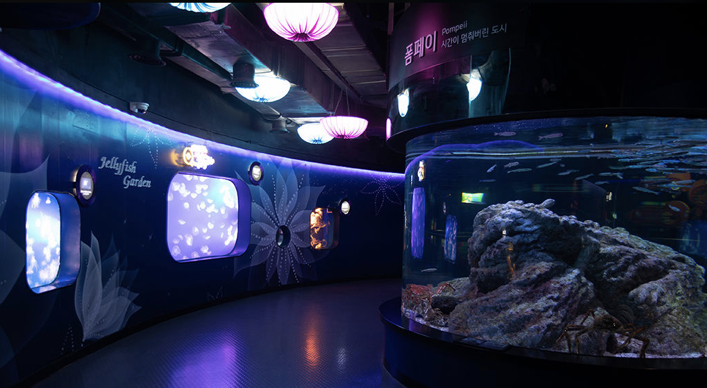 코엑스 아쿠아리움 이미지