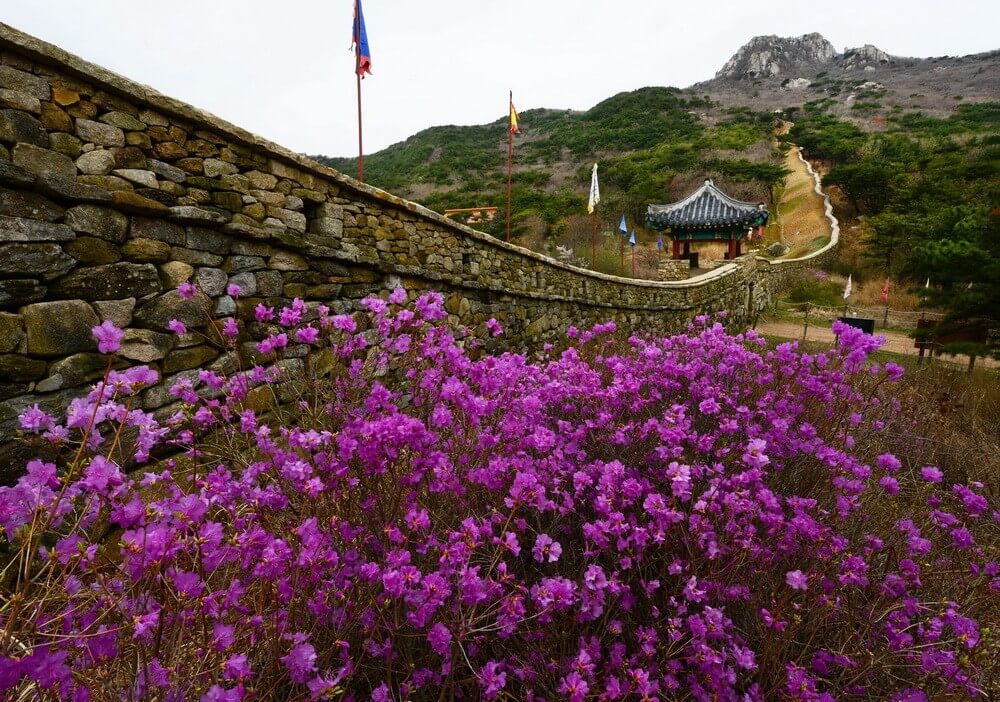 금성산성의 봄 풍경