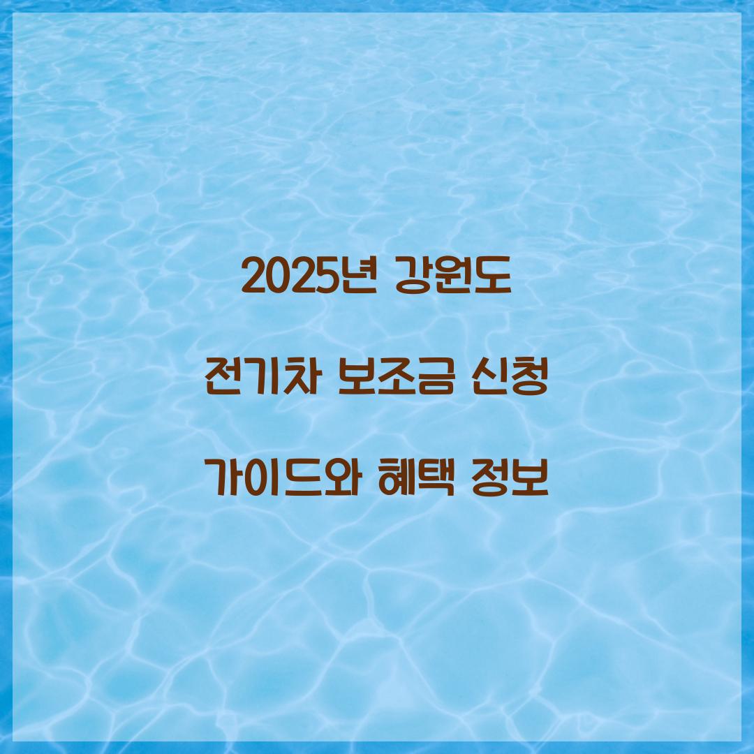 강원도 전기차 보조금