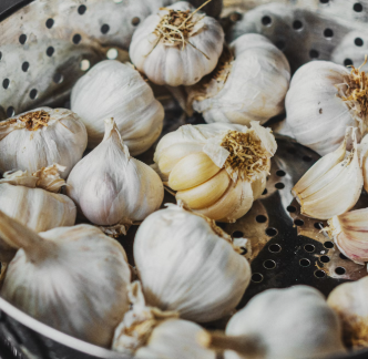 마늘 효능 효과 부작용 당뇨 혈관 건강