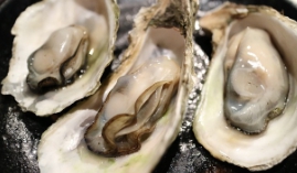 굴 보관법