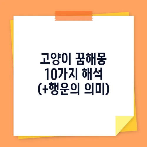 고양이 꿈해몽 10가지 해석 (+행운의 의미)