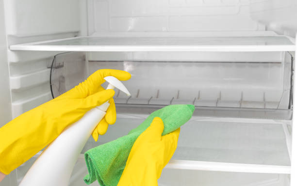 냉장고 청소 후 냄새 나는 이유