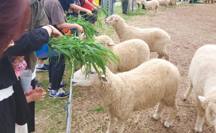 지리산 치즈랜드