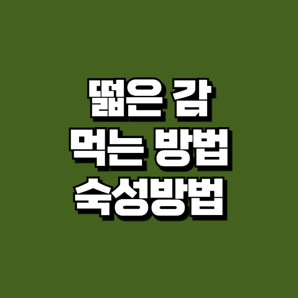 떫은감 먹는법