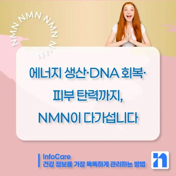 효모 NMN 효능 부작용 복용법