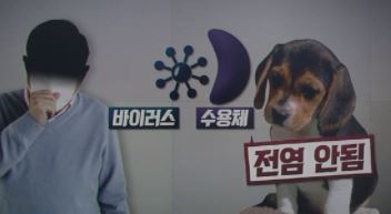 반려동물 코로나19