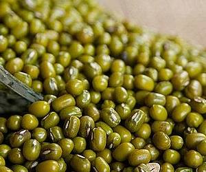 여러 소화 효소가 들어 있는 소화 잘 되는 음식 녹두