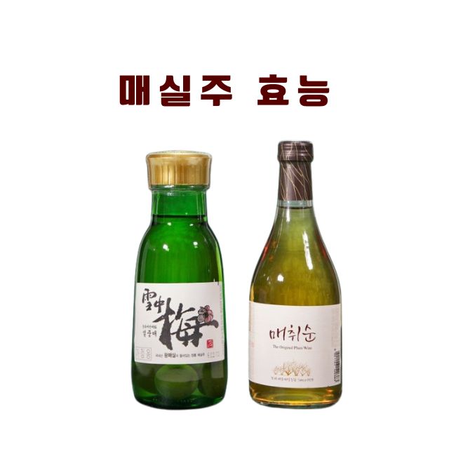 매실주 효능