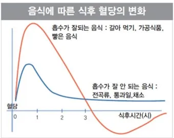식후 혈당 정상수치를 정리_18