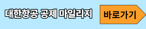 대한항공마일리지