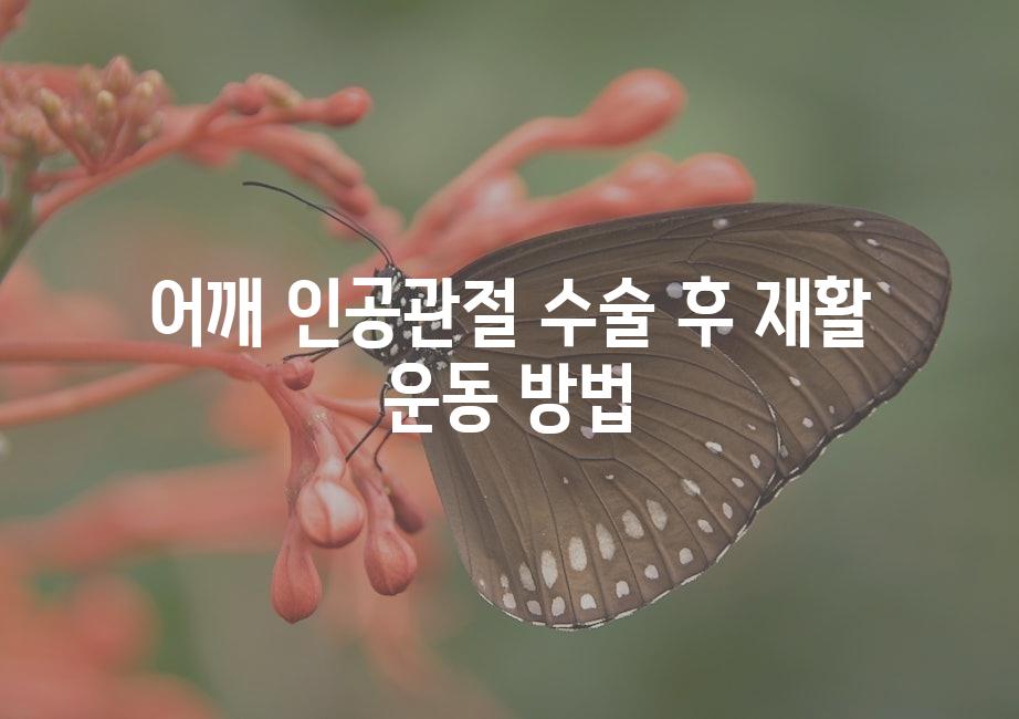 샘플 (51)