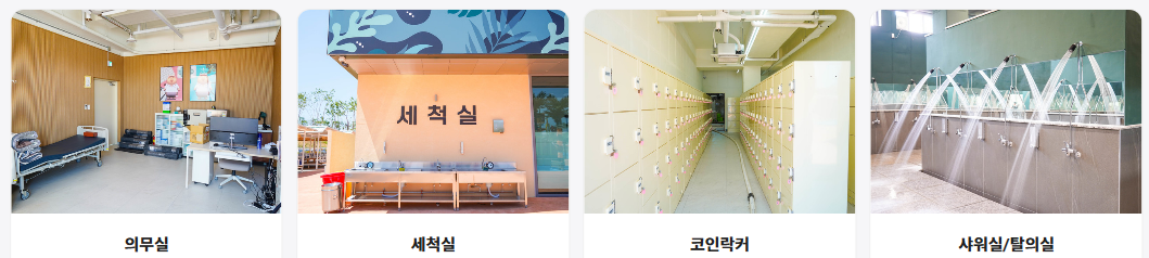 당진 아마존워터파크, 아쿠아파크 아마존 당진, 당진아마존, 아마존워터파크, 아마존 당진, 아마존 카바나, 당진 아마존 카바나,당진 아마존 입장권, 아마존 당진 입장권, 당진 아마존 예약,당진 가볼만한 곳, 서산 가볼만한 곳, 태안 가볼만한 곳, 당진 아이데리고 갈만한 곳