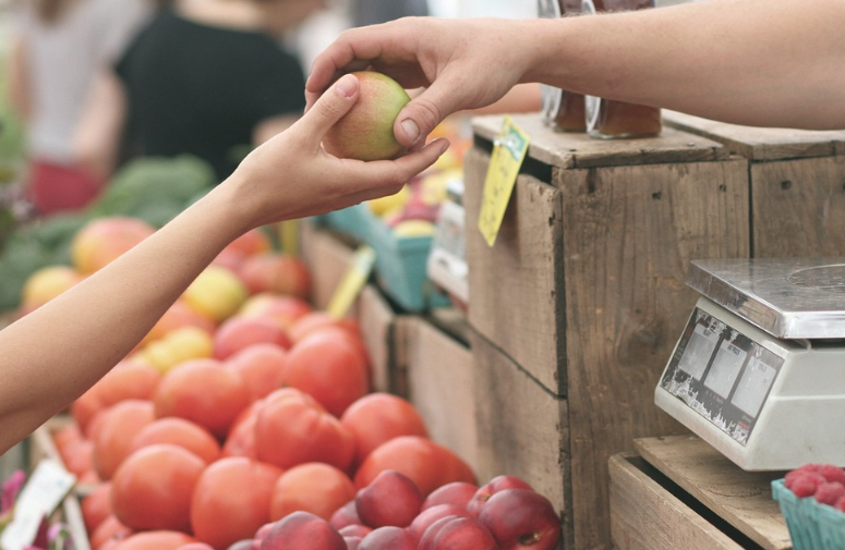 소비기한의 모든 것: 식품 안전과 낭비 방지를 위한 새로운 기준