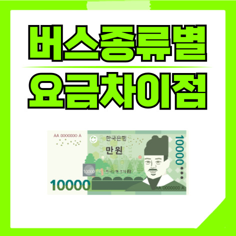 버스 종류별 차이점