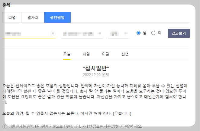 다음 신년운세 화면