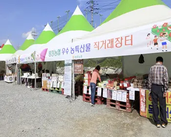 평창 백일홍 축제_32