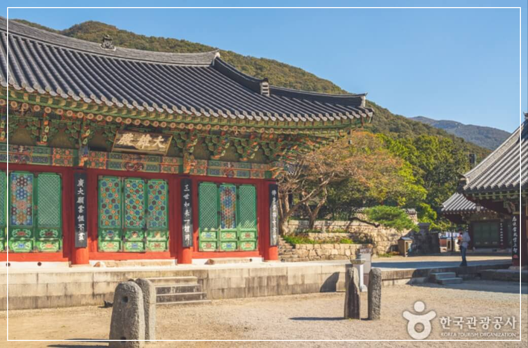 영광 가볼만한곳 베스트10 불갑사